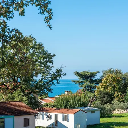 Quercus Village Penthouse With Jacuzzi Novigrad  Exterior photo